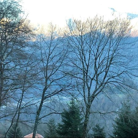 Chalet Du Bois Des Fugiers Ugine Zewnętrze zdjęcie